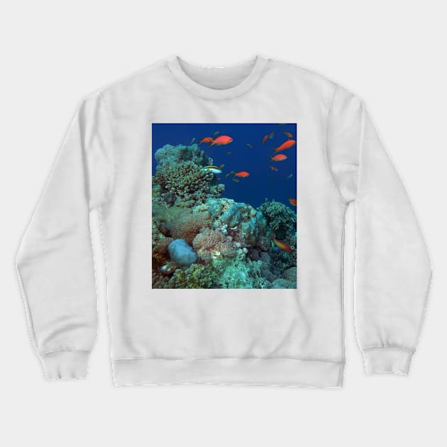 Red Sea Coral Reef Crewneck Sweatshirt by likbatonboot